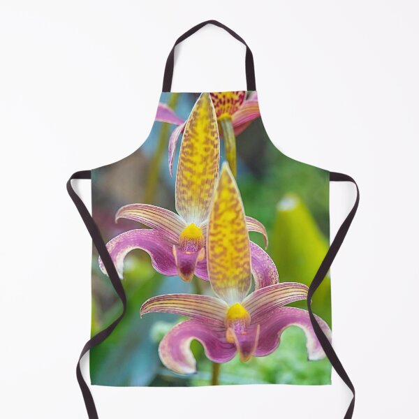 Item preview, UK. Scotland. Glasgow. Botanic Gardens. Orchids. designed and sold by vadim19.