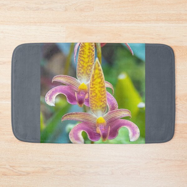 Item preview, UK. Scotland. Glasgow. Botanic Gardens. Orchids. designed and sold by vadim19.