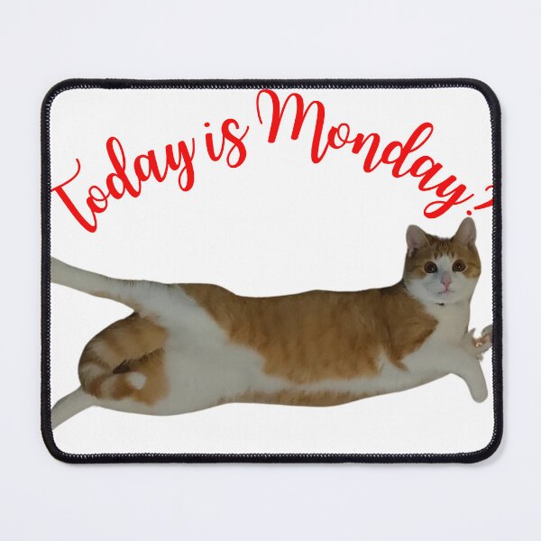 Item preview, Today Is Monday Cat Funny Shirt designed and sold by UrbanPunch.