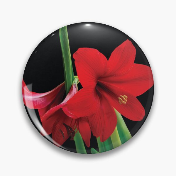 Item preview, Amaryllis Glow designed and sold by Kay Brewer.