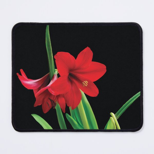 Item preview, Amaryllis Glow designed and sold by Kay Brewer.