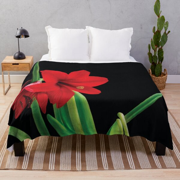 Item preview, Amaryllis Glow designed and sold by Kay Brewer.