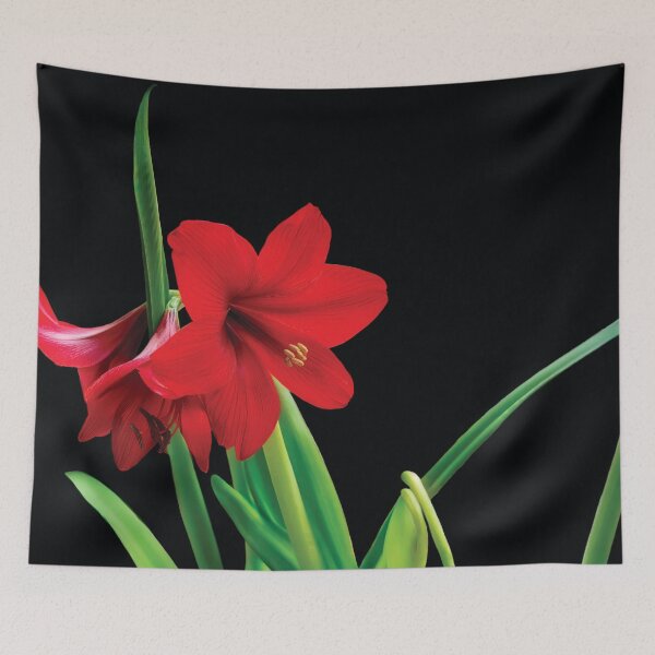 Item preview, Amaryllis Glow designed and sold by Kay Brewer.