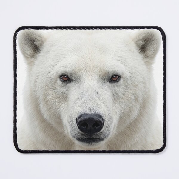 Item preview, Adult Polar Bear Wild Stare designed and sold by RamboDesign.