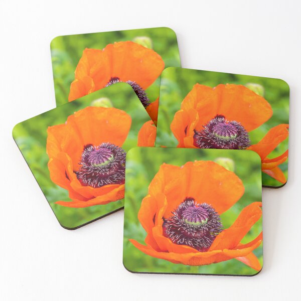 Item preview, UK. Scotland. Stirling Castle. Garden. Poppy Flower. designed and sold by vadim19.