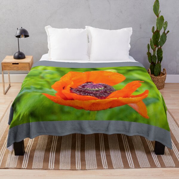 Item preview, UK. Scotland. Stirling Castle. Garden. Poppy Flower. designed and sold by vadim19.