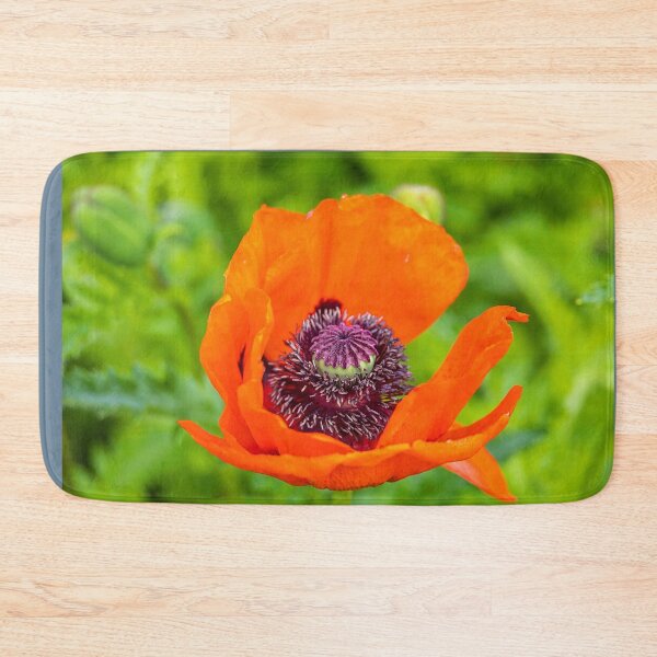 Item preview, UK. Scotland. Stirling Castle. Garden. Poppy Flower. designed and sold by vadim19.