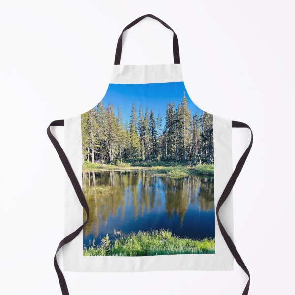Item preview, Donner Pass Stop designed and sold by Alidog5894.