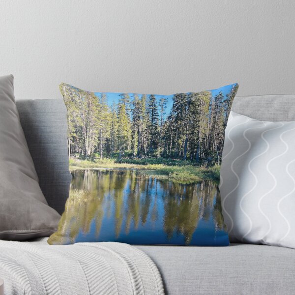 Item preview, Donner Pass Stop designed and sold by Alidog5894.