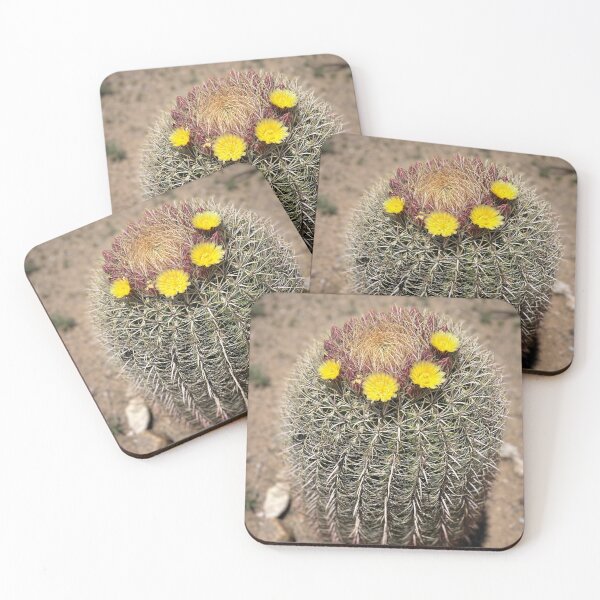Item preview, Cactus Barrel in Bloom designed and sold by Alidog5894.