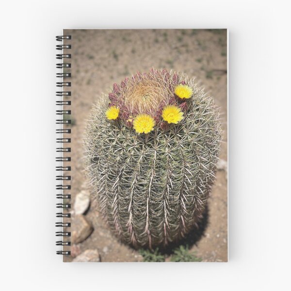Item preview, Cactus Barrel in Bloom designed and sold by Alidog5894.