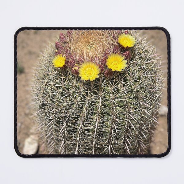 Item preview, Cactus Barrel in Bloom designed and sold by Alidog5894.