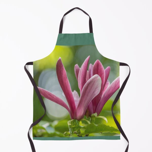 Item preview, UK. Scotland. Edinburgh. Palace of Holyroodhouse. Garden. Magnolia. designed and sold by vadim19.