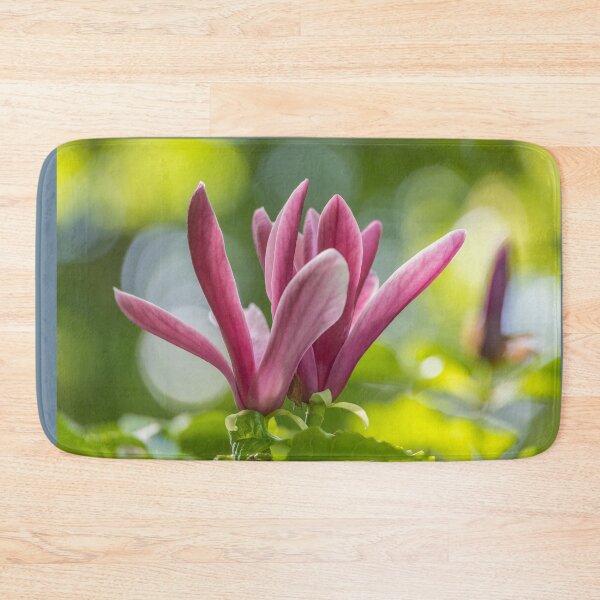 Item preview, UK. Scotland. Edinburgh. Palace of Holyroodhouse. Garden. Magnolia. designed and sold by vadim19.