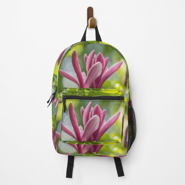 Item preview, UK. Scotland. Edinburgh. Palace of Holyroodhouse. Garden. Magnolia. designed and sold by vadim19.