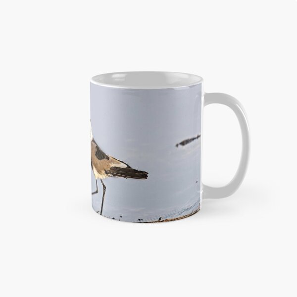 Item preview, Blacksmith Lapwing Aka Blacksmith Plover designed and sold by Kay Brewer.