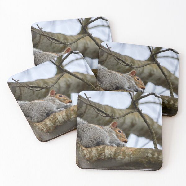 Item preview, Stealth Squirrel designed and sold by couragesings.