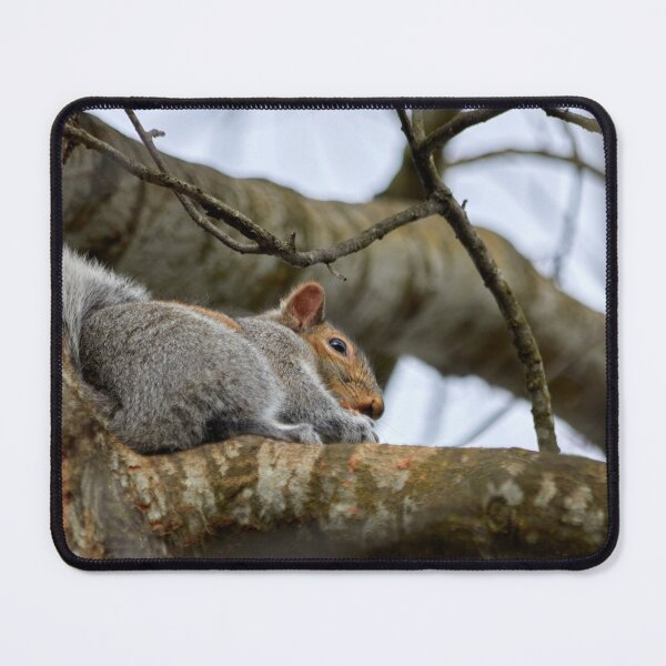 Item preview, Stealth Squirrel designed and sold by couragesings.