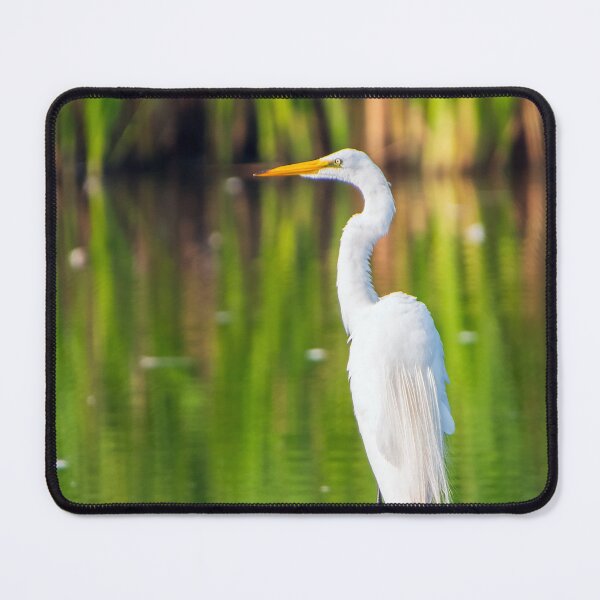 Item preview, Great Egret on a Log designed and sold by S. J. Coates Creative.