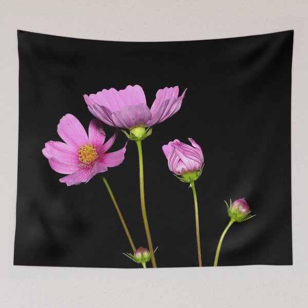 Item preview, Cosmos at Night designed and sold by Frankie Cat Photography.