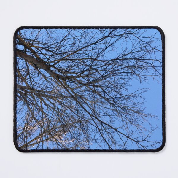 Item preview, sky and trees designed and sold by Designfs.