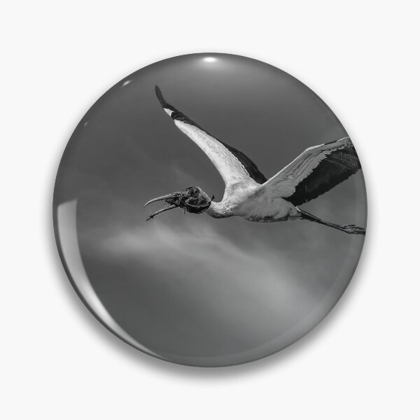 Item preview, Takeout In Black and White designed and sold by Kay Brewer.