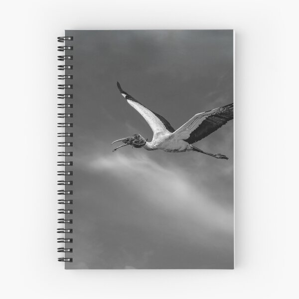 Item preview, Takeout In Black and White designed and sold by Kay Brewer.