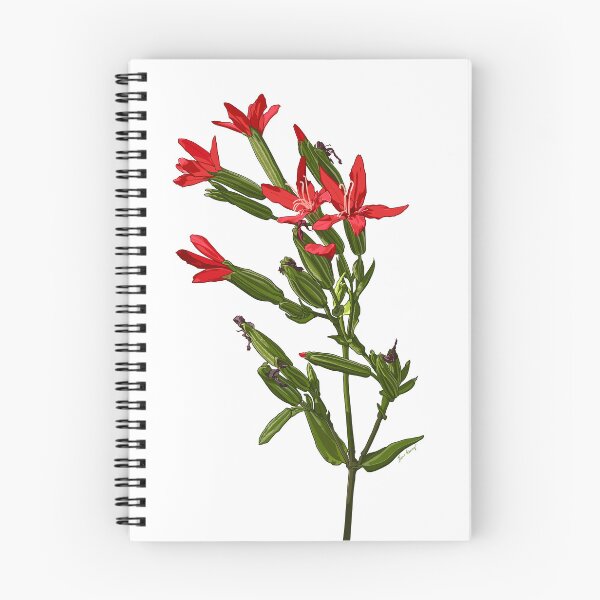 Item preview, Royal Catchfly designed and sold by Erin Garvey.