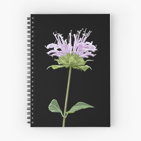 Item preview, Wild Bergamot designed and sold by Erin Garvey.