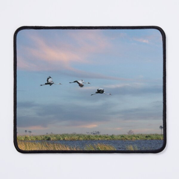 Item preview, Yellow-Billed Storks In Flight designed and sold by Kay Brewer.