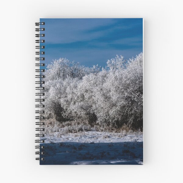 Item preview, Winter trail scenery designed and sold by CanadianWild418.