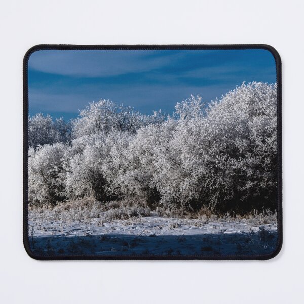 Item preview, Winter trail scenery designed and sold by CanadianWild418.
