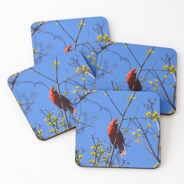 Item preview, Cardinal Zin designed and sold by Cokie Creations.