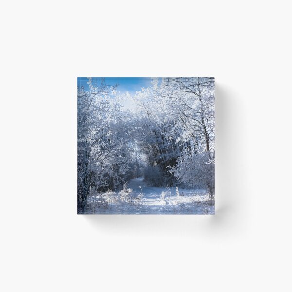 Item preview, winter hiking trail designed and sold by CanadianWild418.