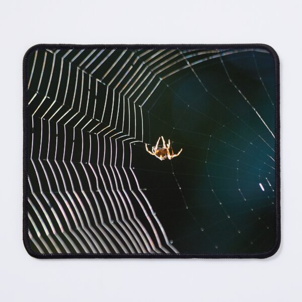 Item preview, The Sunlit Spider and Its Web designed and sold by couragesings.
