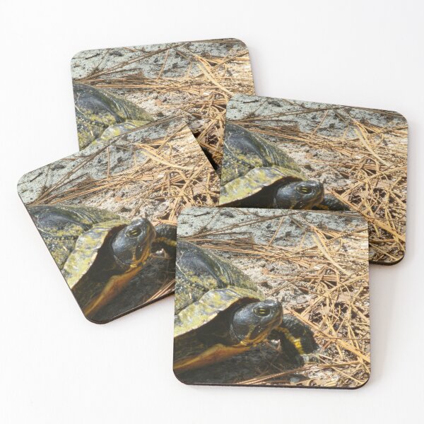 Item preview, Turtle Encounter designed and sold by Michelle Adams.