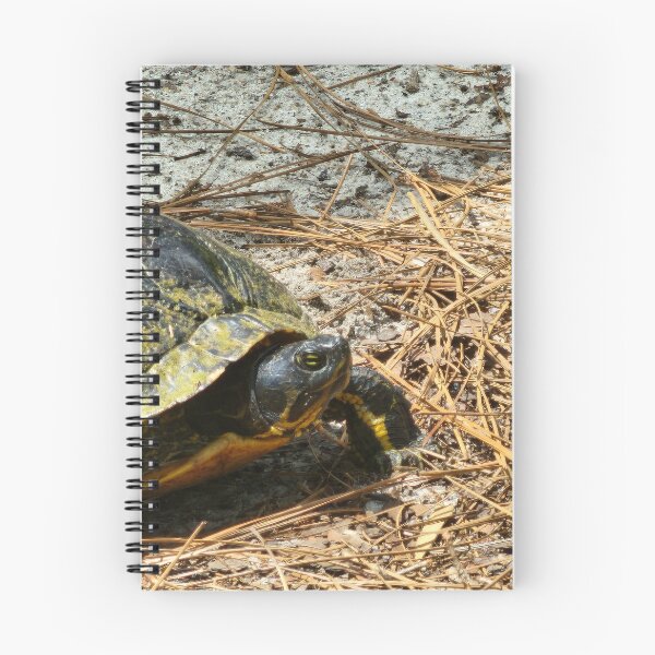 Item preview, Turtle Encounter designed and sold by Michelle Adams.
