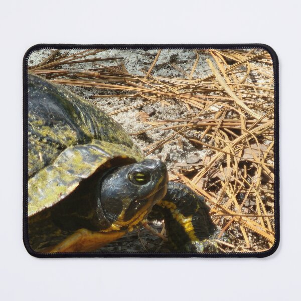 Item preview, Turtle Encounter designed and sold by Michelle Adams.