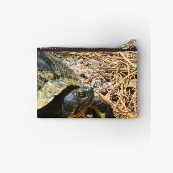 Item preview, Turtle Encounter designed and sold by Michelle Adams.