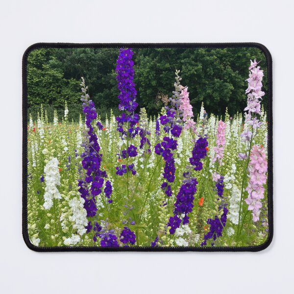 Item preview, Delphiniums designed and sold by LindarellaUK.