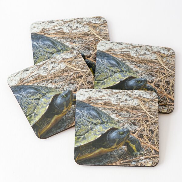 Item preview, Turtle in Focus designed and sold by Michelle Adams.