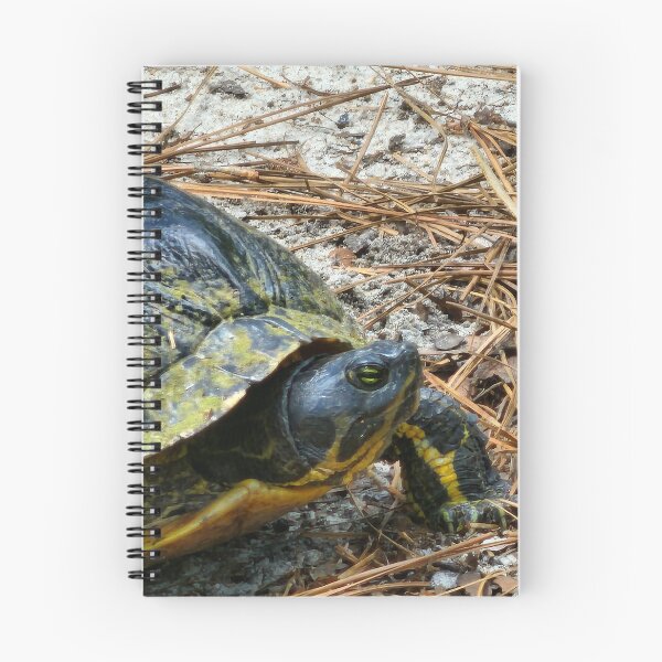 Item preview, Turtle in Focus designed and sold by Michelle Adams.