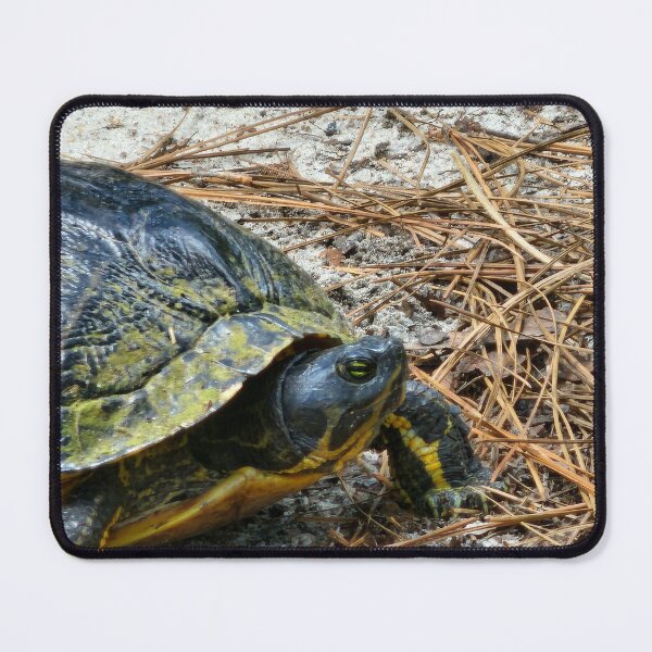 Item preview, Turtle in Focus designed and sold by Michelle Adams.