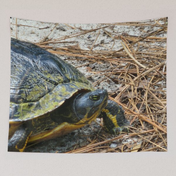 Item preview, Turtle in Focus designed and sold by Michelle Adams.