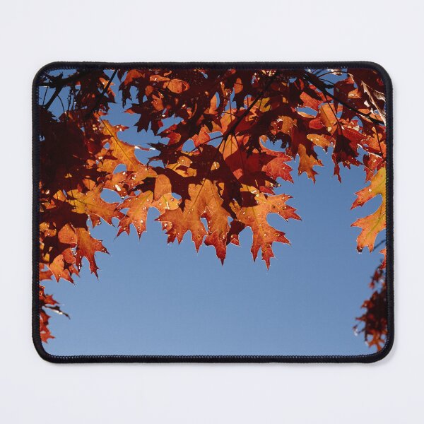 Item preview, Fall Leaves in the Blue Sky designed and sold by couragesings.