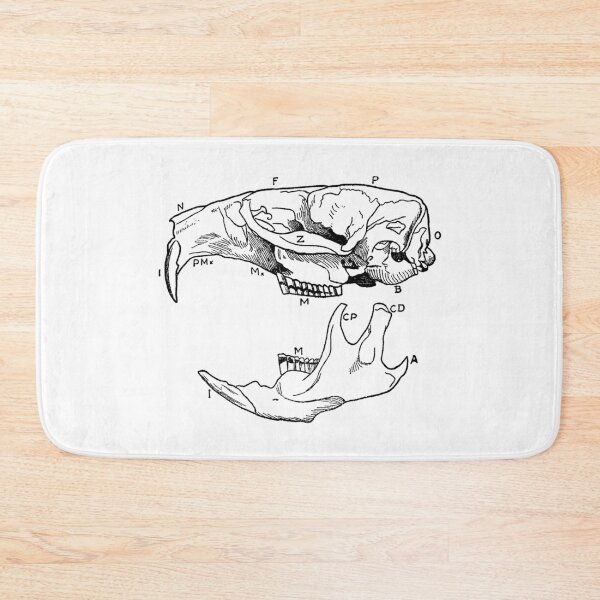 Item preview, Vintage Muskrat Skull designed and sold by RedHandedOD.