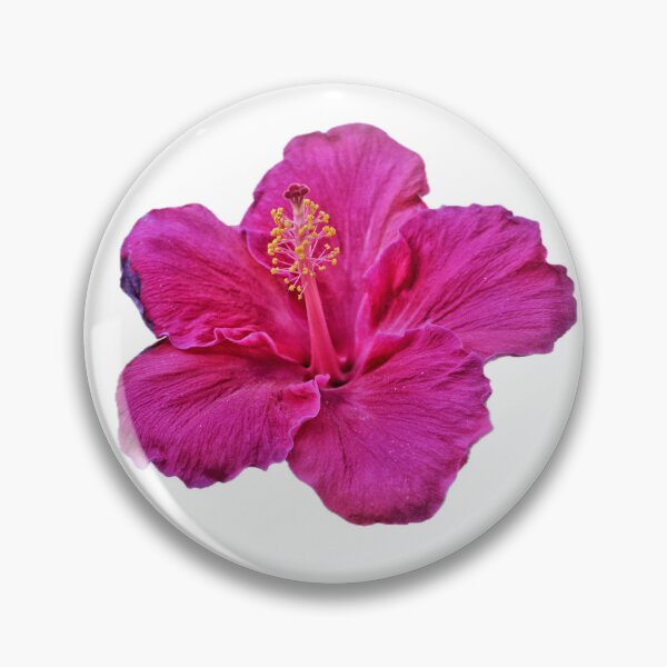 Artikelvorschau, Pink Hibiscus entworfen und verkauft von Ruby Power.