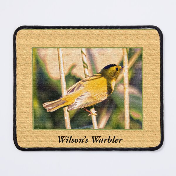 Item preview, Wilson's Warbler designed and sold by CarolM.