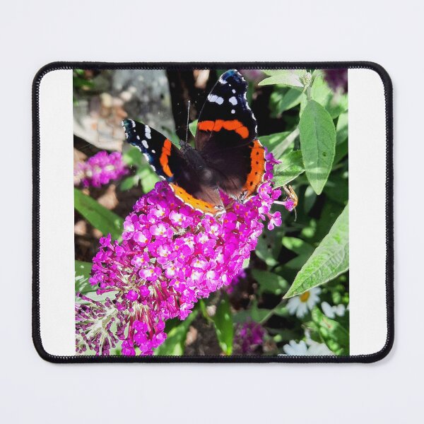 Item preview, Red Admiral with Buddleia designed and sold by CLDyePhotos.