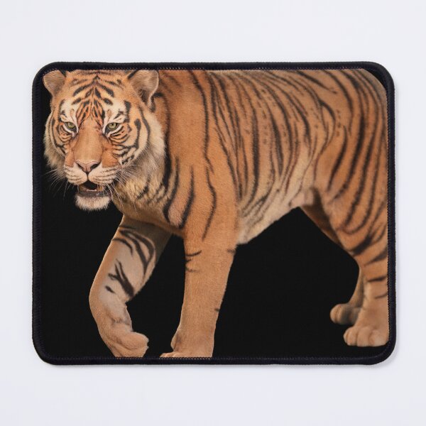 Item preview, Walking Tiger – Apex Predator in Motion designed and sold by Massimo Righi.